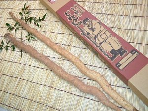 画像1: 自然薯　進物用2本入 （1.0kg 級）※特栽認定品ではありません※