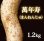 画像1: 自然薯『萬年寿』 （1.2kg 級） (1)