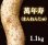 画像1: 自然薯『萬年寿』 （1.1kg 級） (1)