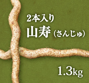 自然薯『山寿』 （2本入り 1.3kg 級）
