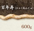 画像1: 自然薯『百年寿』 （600g 級） (1)