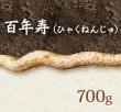 画像1: 自然薯『百年寿』 （700g 級） (1)